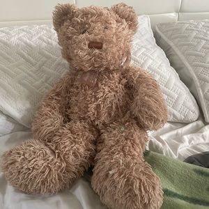 Teddy bear